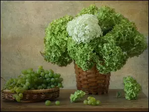 Hortensje i winogrona w koszyczkach