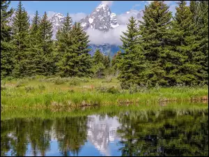 Rzeka, Góry, Stany Zjednoczone, Drzewa, Wyoming, Park Narodowy Grand Teton, Chmury