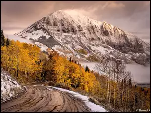 jesienna droga prowadząca do gór