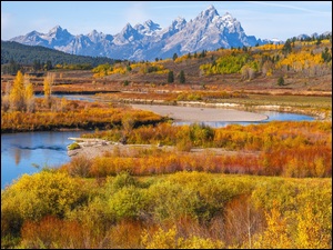 Stany Zjednoczone, Jesień, Rzeka Snake River, Krzewy, Góry, Park Narodowy Grand Teton, Las, Teton Range, Drzewa, Stan Wyoming