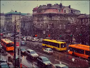 Zima, Serbia, Samochody, Padający, Belgrad, Autobusy, Śnieg, Miasto