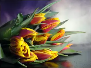 Bukiet barwnych tulipanów z liśćmi