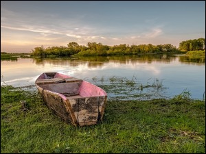 Łódka nad brzegiem polskiej rzeki Biebrzy