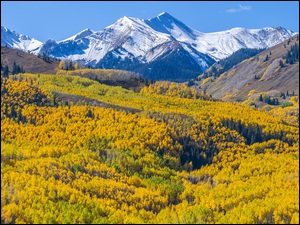 Kolorado, Góry, Jesień, Stany Zjednoczone, Drzewa, Las, Capitol Peak