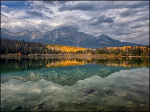 Drzewa, Prowincja Alberta, Góry, Odbicie, Jesień, Park Narodowy Jasper, Jezioro, Kanada, Patricia Lake