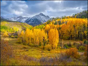 Jesień, Góry, Las, Kolorado, Góra, Drzewa, Stany Zjednoczone, Mount Sneffels