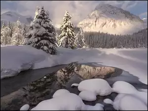 Drzewa, Kanada, Zima, Rzeka, Góry, Las, Śnieg, Canadian Rockies