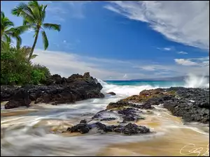 Hawaje, Maui, Plaża, Stany Zjednoczone, Skały, Palmy, Morze