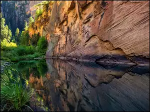 Rzeka, West Clear Creek, Stany Zjednoczone, Skały, Arizona, Odbicie, Krzewy