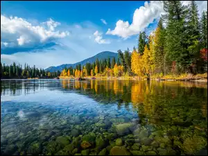 Kamieniste dno jeziora w otoczeniu jesiennych drzew
