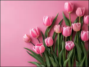Szablon kartki z tulipanami na różowym tle