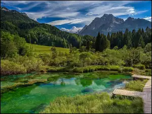 Rezerwat przyrody Zelenci na Słowenii