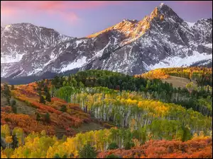 Jesień, Stany Zjednoczone, Góra, Drzewa, Kolorado, Mount Sneffels, Roślinność, Góry