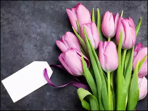Tulipany, Zawieszka, Różowe, Kwiaty, Bukiet