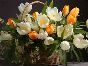 Rozświetlone białe i żółte tulipany w koszyku