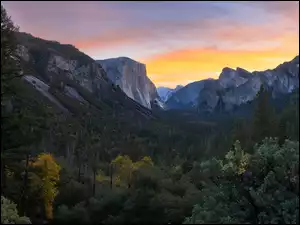 Góry i lasy w Parku Narodowym Yosemite w stanie Kalifornia