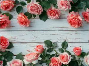 Deski, Kwiaty, Róże, Drewniane