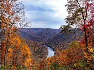 Jesień, Stany Zjednoczone, Rzeka, Drzewa, Wirginia Zachodnia, New River Gorge Bridge, Lasy, Wąwóz