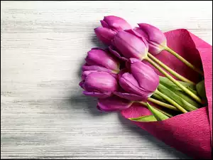 Bukiet fioletowych tulipanów w bibule