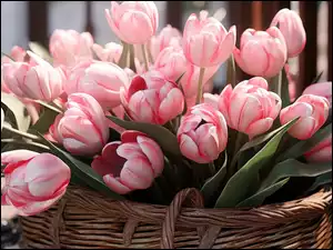 Koszyk, Kompozycja, Różowe, Tulipany
