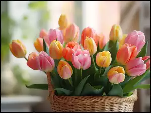 Koszyk, Kompozycja, Kolorowe, Tulipany