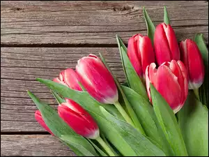 Bukiet czerwonych tulipanówna deskach