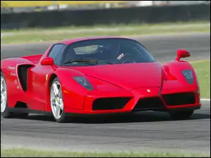 Ferrari Enzo, F60