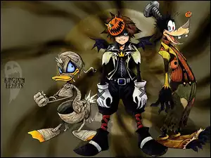 donald, goofy, Kingdom Hearts, halloween, postać, duck