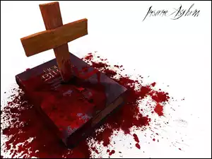 książka, Insane Asylum, krzyż