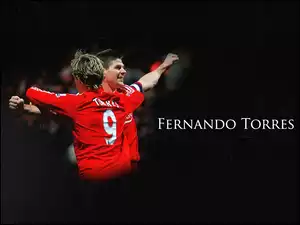 Liverpool, Fernando Torres