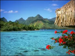 Tranquil, Bora, Lagoon, Bora