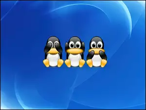 ślepy, niemowa, Linux, grafika, pingwin, głuchy