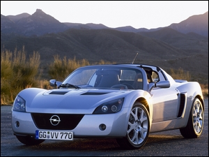 Srebrny, Opel Speedster