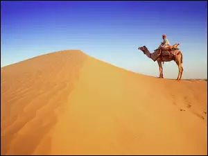 Pustynia, Wielbłąd, Arab