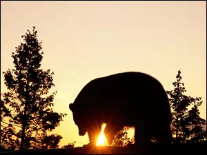 Niedźwiedź, Zachód Słońca