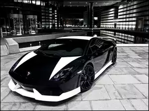 Lamborghini Gallardo, Czarno, Białe