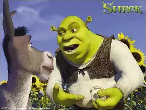Shrek 1, słoneczniki, osioł, Shrek