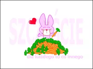 szczęście, Różowy, marchewki, królik, napis