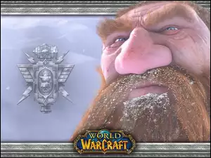 World Of Warcraft, broda, fantasy, krasnolud