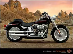 Harley Davidson Fat Boy, Reklama