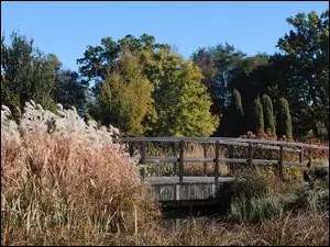 Ogród, Jesień, Mostek