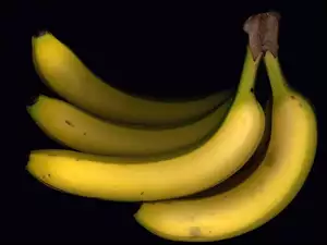 Bananów, Kiść, Dojrzałych