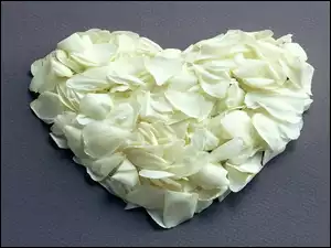 Serce, Róż, Białe, Płatki