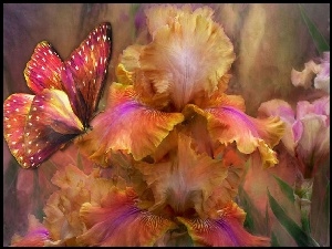Motyl, Kwiaty, Kolorowy