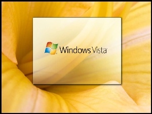 Kwiatka, Logo, Vista, Windows, Środek
