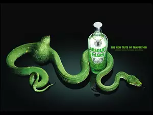 Wódka, Wąż, Absolut, Zielony
