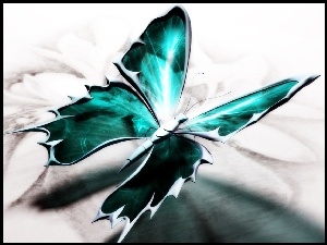 Motyl, Piękny, Zielony