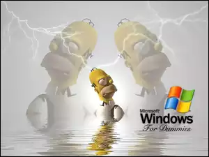 Simpson, Windows, Homer