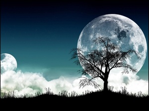 Apple, Księżyc, Noc, Drzewo, Logo