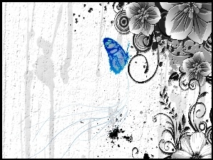 Tekstura, Motyl, Kwiaty